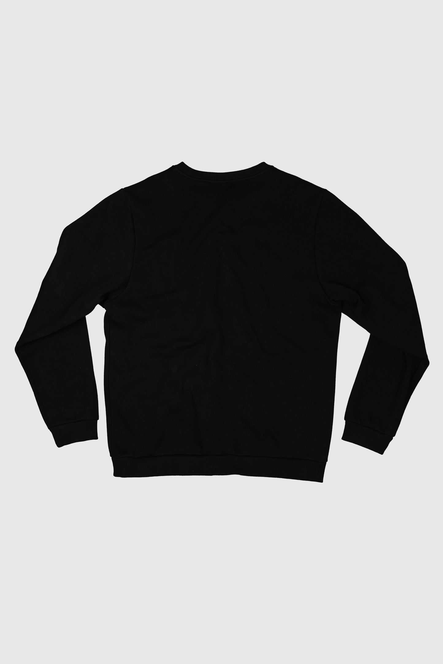 ALWS Heavy College Sweatshirt (miehet) - No Logo